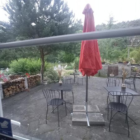 Dworek Bursztynowe Piaski Gdansk Luaran gambar